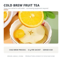 Bulk Fruitthee Koud Gebrouwen Gedroogde Fruitmix 12g Sachet 20 Smaken OEM Private Label Groothandel Leverancier