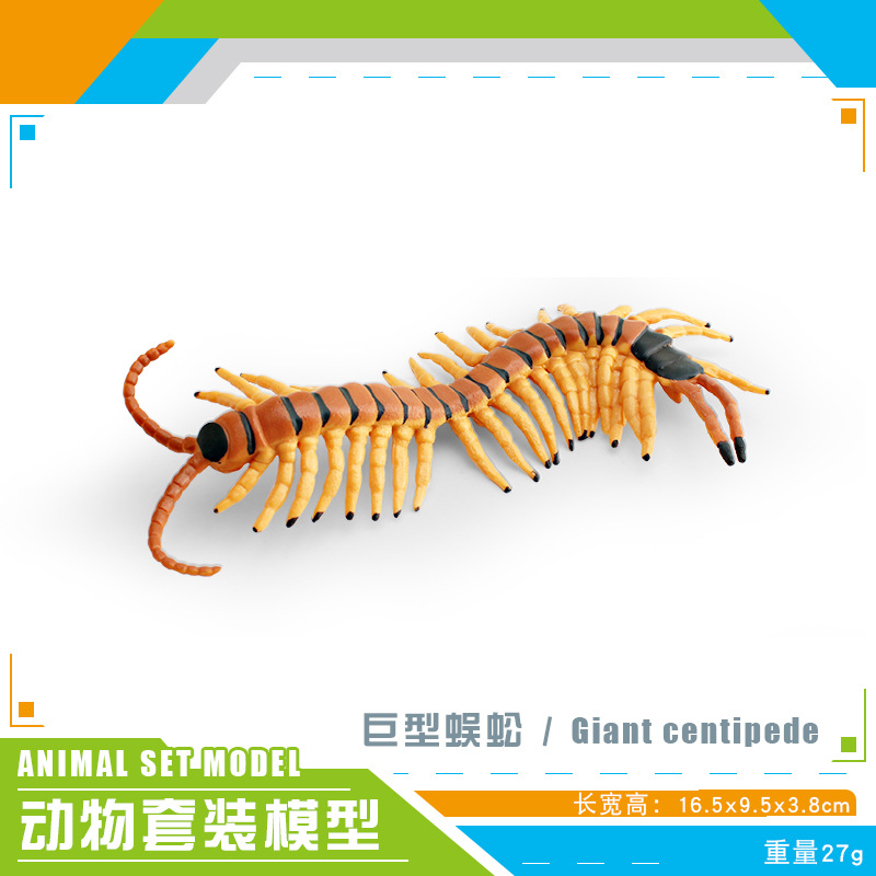 PL127-3282 Cienpiés Gigante 27G