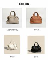 Nouveau Sac à Main Tendance 2026 pour Femme, en Cuir Véritable Grainé de Luxe, Mini Sac Bandoulière à Poignée Supérieure, Idéal Travail et Week-end, OEM