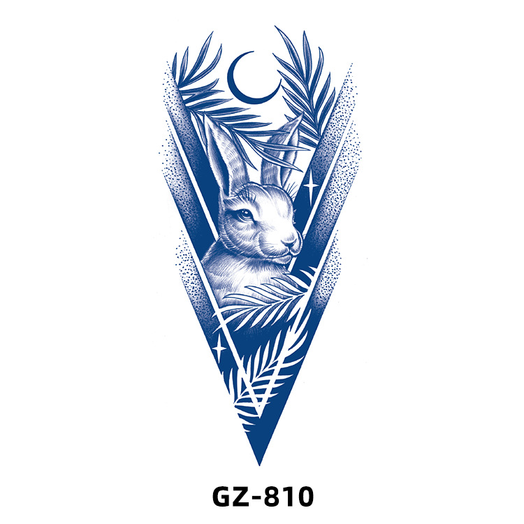 GZ810