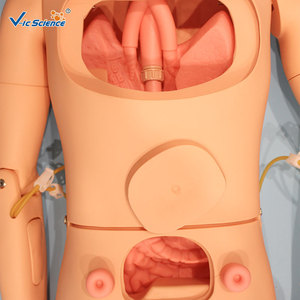 Maniquí de enfermería avanzado con módulos de úlceras por presión masculinos y femeninos; una herramienta práctica de entrenamiento para la enfermería médica básica - Product Image 3