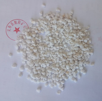 Granulés de perlite expansée, conditionneur de sol blanc pour matériaux de construction, horticulture, agriculture et applications hydroponiques