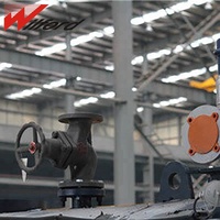 Harga Pabrik WILFORD Boiler Uap Gas Bahan Bakar Industri Horizontal Low NOx Dan Full Condensing Dengan Kontrol PLC