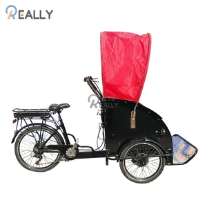 Tricycle électrique à <span class=keywords><strong>3</strong></span> <span class=keywords><strong>roues</strong></span>, appareil pour le tourisme, la famille, pour adulte - Product Image 3