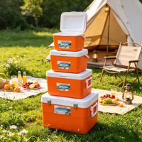 Glacière isotherme multi-tailles pour la maison, portable pour le camping en extérieur, grande capacité, design élégant, avec motif lettre