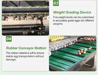Hoge Kwaliteit Ei Sorteerder Sizer Classificator Eend Ei Gewicht Grader Machine Ganzenei Sortering Kaarsmachine