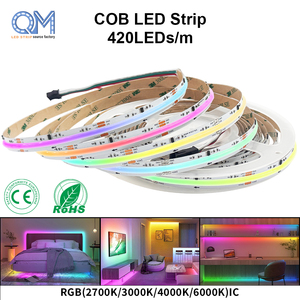 Tira de Luces LED RGB Inteligente con Atenuación Digital Raymates CE ROHS, 840 LED, DC24V, 8 mm de Ancho, 15 W/m, para Decoración de Interiores - Product Image 1