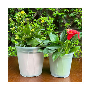 Macetas Transparentes y Blancas con <span class=keywords><strong>Autorriego</strong></span> para Orquídeas, Macetas de Plástico Transparente para Plantas de Jardín, Macetas y Jardineras para el Hogar - Product Image 3