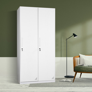 Armario moderno de 2 puertas de hierro para oficina, armario de acero, armario de almacenamiento de Metal ajustable para escuela, hogar, supermercado y uso hospitalario - Product Image 6