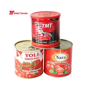 Tomato Paste Manufacturer Price Organic Healthy 800g Canned Tomato Paste