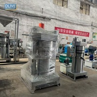 Presse à huile comestible à froid automatique / Équipement de pressage d'huile de sésame / Machine hydraulique de pressage d'huile d'arachide, de soja et d'olive
