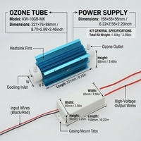 Module d'ozone à sortie fixe refroidi par air 10G/h 80W à double source de gaz avec garantie d'un an pour le traitement de l'eau
