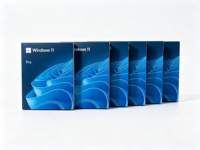 WIN 11 Pro USB Edición en Caja, Versión en Inglés de 64 bits, Código de Activación 100% Online, Compatible con MAC, Multilingüe