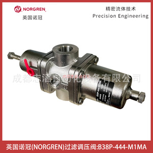 วาล์วลดแรงดันนอร์เกรน B38P-444-M1MA 1/2 นิ้ว สำหรับแก๊สอุณหภูมิต่ำแบบนิวเมติก - Product Image 5