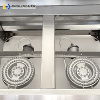 Friteuse commerciale à gaz à double cuve 6L+6L en acier inoxydable, machine à frire industrielle au propane, friteuse à cuve pour restaurant