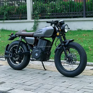 Заводская цена OEM Электрический мотоцикл 5000 Вт мотор в винтажном стиле 100 км дальнего действия с батареей 40 А/ч
