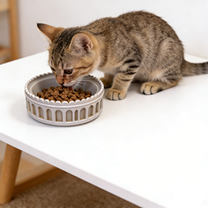 Tigela de Cerâmica Larga e Rasa para Gatos, Comedouro Antiderrapante para Animais de Estimação, Tigela de Cerâmica para Comida de Gatos e Cães de Interior - Product Image 2