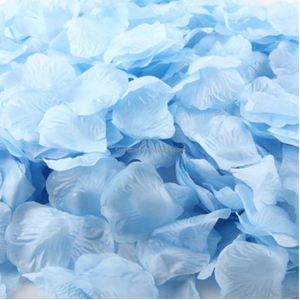 Sequins xoay pháo hoa cho đám cưới giáng sinh năm mới lễ kỷ niệm khai mạc Nguồn cung cấp làm bằng giấy - Product Image 4