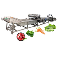 Kleine Schaal Automatische Continue Fruit Groente Bubble Wasmachine En Sorteren Machine Plantaardige Wasmachine