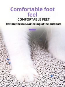 BENJIE Beijing Litière pour chat en billes grises 5kg, écologique, faible teneur en poussière, agglomération rapide, hautement absorbante - Product Image 2