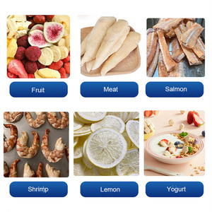 Low Temperature Freeze Drying Fruit <b>Machine</b> Mango Dry Freeze <b>Machine</b> Freeze-drying <b>Machine</b> - Product Image 5