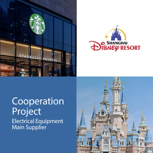 316 304 in acciaio inossidabile IP54 pannello di distribuzione trifase pannello pannello <span class=keywords><strong>elettrico</strong></span> a conversione automatica a doppia potenza - Product Image 6