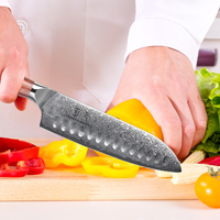 Couteau Santoku professionnel pour la cuisine, manche en bois, acier Damas 67 couches, pour usage domestique et en restaurant