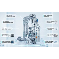 Équipement d'emballage vertical automatique pour les travaux d'emballage industriel de glace en blocs et en cubes, machine d'emballage de glace granulaire