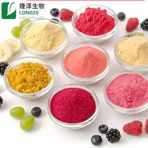 manufacture supply freeze dried fruit powder