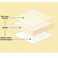 Alas Buah Sekali Pakai Airlaid Soaker Pads Food Grade Case Liner Mengurangi Tumpahan Sari Buah untuk Rantai Dingin Ceri, Raspberry, Blueberry