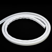 Lampe LED Tube en silicone 1616A Effet néon lumineux avant pour bande 8-10mm Easy Clip Design Intérieur Extérieur