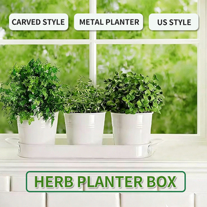 Jardinière en métal <span class=keywords><strong>pour</strong></span> jardin d'herbes, <span class=keywords><strong>pot</strong></span> <span class=keywords><strong>de</strong></span> fleurs <span class=keywords><strong>pour</strong></span> intérieur et extérieur, <span class=keywords><strong>rebord</strong></span> <span class=keywords><strong>de</strong></span> fenêtre, mini pots <span class=keywords><strong>de</strong></span> fleurs, ensemble <span class=keywords><strong>de</strong></span> pots <span class=keywords><strong>pour</strong></span> plantes succulentes, <span class=keywords><strong>pour</strong></span> plantes d'intérieur - Product Image 3