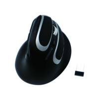 Cetakan pribadi OEM Mouse nirkabel, cetakan dapat diisi ulang vertikal 2.4Ghz BT nirkabel RGB 3 level DPI untuk PC Laptop rumah kantor