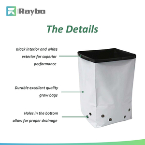 Sac <span class=keywords><strong>de</strong></span> culture carré en plastique PE noir et blanc anti-UV <span class=keywords><strong>de</strong></span> 10 gallons pour fraises, pour pépinière, ferme et serre RAYBO - Product Image 4
