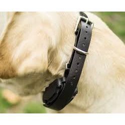 Sparky <b>Pet</b> Co Dog Training <b>Collar</b> Replacement 3/4 Inch Wide Blue Adjustable High Flex <b>Pet</b> Trainer <b>Collar</b> - Product Image 4