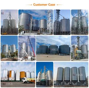 ไซโลเก็บวัตถุดิบสำหรับฟาร์มสัตว์ปีก ระบบไซโลเก็บเม็ดอาหารสัตว์ - Product Image 4