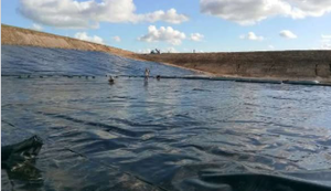 Bâche pour bassin de 6000 pieds carrés pour la culture de tilapias - Product Image 3