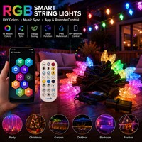 Luces LED de Cadena al por Mayor OEM con Luces de Cadena Irrompibles y Control por Aplicación Personalizado para Pedidos de Proveedores de Exteriores