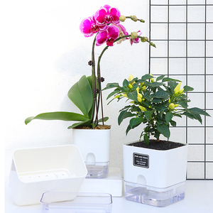Pots de fleurs en plastique Oliz Pot de plantes auto-arrosantes <span class=keywords><strong>pour</strong></span> plantes d'intérieur - Product Image 4