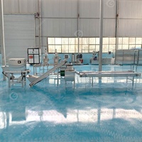 Machine industrielle automatique de pelage et de séparation des bulbes d'ail et de gingembre, ligne de production en Égypte