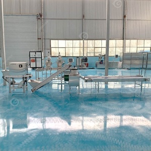 Tỏi Bóng đèn phá vỡ công nghiệp tự động gừng làm cho riêng biệt Peeler Peel máy và dòng sản phẩm trong Ai Cập - Product Image 3