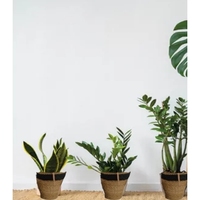 Ensemble de 4 paniers de rangement en corde tressée écologiques de luxe, gris foncé, pot de fleurs, haute qualité, utilisation intérieure, fabriqué en Italie SC FK-3BF0-VHY4