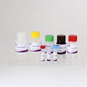 CE-zertifiziertes <span class=keywords><strong>ELISA</strong></span>-Kit für die Antikörper erkennung von Gland ers im Pferdes erum-Hohe Empfindlichkeit und Spezifität - Product Image 2