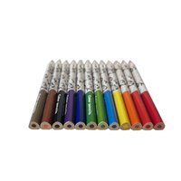 Ensemble de crayons de couleur personnalisés certifiés EN71 ISO ASTM-F963, 12 couleurs, pingouin mignon, plastique triangulaire, 3,5 pouces, directement de l'usine