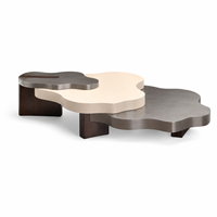 Table basse contemporaine irrégulière laquée haute brillance avec design modulaire pour salon et appartement, table centrale moderne