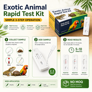Kit de test rapide de la Salmonella aviaire SAL Ag pour oiseaux exotiques, perroquets, pigeons, volailles, <span class=keywords><strong>outil</strong></span> de diagnostic antigénique en une étape - Product Image 6