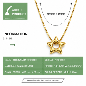 สร้อยคอจี้รูปดาว สแตนเลสสตีล ชุบทอง 14K แบบสุญญากาศ พร้อมสร้อยแบบกล่อง สีทองหรือสีเงิน - Product Image 2