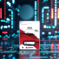 Promo Panas SSD NVMe NV2 PCIe 4.0 250GB 500GB 1TB 2TB Interface Internal M.2 Solid State Drive 100% Original