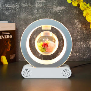 هدية يدوية رومانسية مغناطيسية للرفع هدية إبداعية بالبلوتوث لترويج الأعمال في عيد الحب - Product Image 1