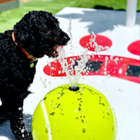 Parc aquatique commercial pour chiens avec balles de tennis, jouet interactif à jet d'eau pour enfants et animaux de compagnie, idéal pour les parcs canins, les centres de villégiature et les aires de jeux aquatiques.